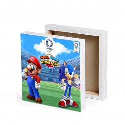 FOTO OBRAZ ZE ZDJĘCIEM NA PŁÓTNIE 30X30 MARIO SONIC ST_PLPL118.jpg