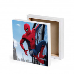 FOTO OBRAZ ZE ZDJĘCIEM NA PŁÓTNIE 30X30 SPIDERMAN ST_PLPL165.jpg
