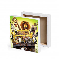 FOTO OBRAZ ZE ZDJĘCIEM NA PŁÓTNIE 30X30 MADAGASKAR ST_PLPL175.jpg